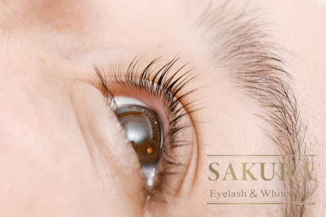 アイラッシュ　ホワイトニング　各務原　那加